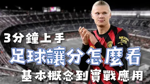 德甲先锋勒沃库森挑战拜仁霸权，哈维与阿隆索大师级对决引关注！